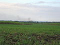 A-DSC04827.JPG