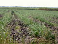 A-DSC04828.JPG