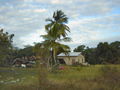 A-DSC04830.JPG
