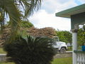 A-DSC04951.JPG
