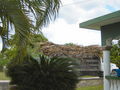 A-DSC04952.JPG
