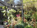 A-DSC04954.JPG