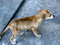 A-DSC04955.JPG