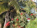 S-IMG_1821.JPG