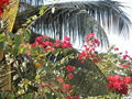 S-IMG_1823.JPG