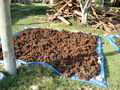 S-IMG_1829.JPG