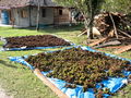 S-IMG_1831.JPG