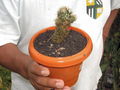 S-IMG_1887.JPG